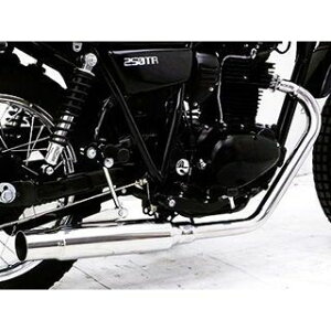 ECYEB 250TRiLuԁjp OhV[v}t[ 250TRiLu^[j