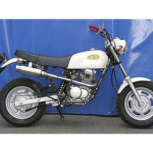 ECYEB GCv100p C}t[ oY[J^Cv GCv100