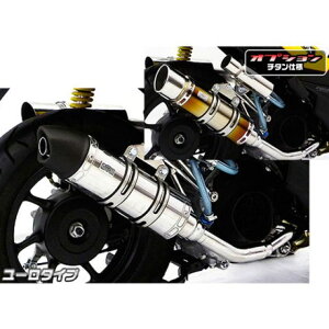 ウイルズウィン リード125(JF45)用 ロイヤルマフラー ユーロタイプ リード125 オプション オプションB+D