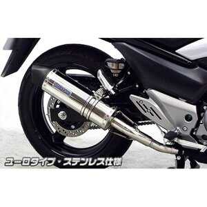 ECYEB GSR250iJBK-GJ55Djp XbvI}t[ [^Cv GSR250 TCT[ XeXdl