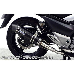 ECYEB GSR250iJBK-GJ55Djp XbvI}t[ [^Cv GSR250 TCT[ ubNJ[{dl