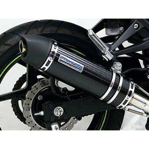 ECYEB Ninja250Rp_Ci~bN}t[ [^CvyJMCAF؁z O2ZT[tΉ Ninja250R TCT[ ubNJ[{dl