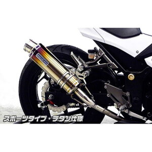 ECYEB Ninja250p XbvI}t[ X|[c^Cv Ninja250 TCT[ `^dl