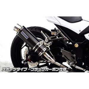 ECYEB Ninja250p XbvI}t[ X|[c^Cv Ninja250 TCT[ ubNJ[{dl