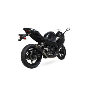 XR[sI RP1-GP Slip-on Carbon Fibre Sleeve EC Approved b KA1015CEM Ninja 400 scom_KA1015CEM