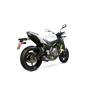 XR[sI Serket tVXe Carbon Fibre Sleeve Kawasaki Z650 2017-2018 b RKA117SYSCEO Z650 scom_RKA117SYSCEO