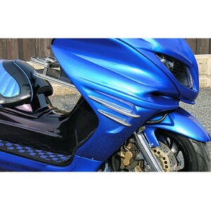 ECYEB }WFXeB250i5GM/5SJjp \bhoCU[JE ^CvG tBo[Wihj }WFXeB250