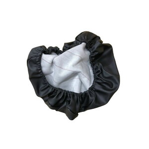 Ao {V[gJo[/FNX^[125iCF42Aj/FNX^[iCE42Ajyzi킹j FNX^[125 FNX^[ SCR3042-C10