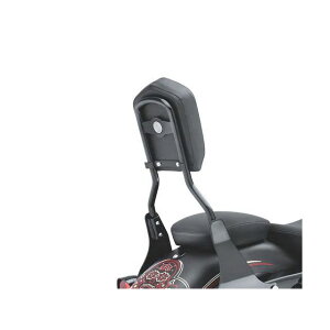 �n�[���[�_�r�b�h�\�� Standard Mini-Medallion Style Sissy Bar Upright Sportster 52300020