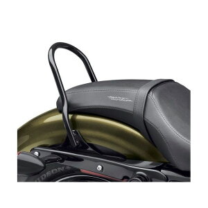 �n�[���[�_�r�b�h�\�� Low-Profile Sissy Bar Upright - Sportster Sportster 52300403