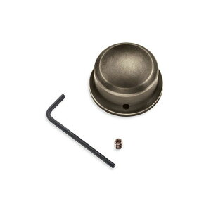 n[[_rbh\ Brass Swingarm Pivot Bolt Cover Sportster 61400344