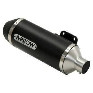 �A���[ HONDA SH 300 I 16 HOMOLOGATED ALUMINIUM DARK RACE-TECH SILENCER WITH BLACK END CAP �{ STEEL LINK PIPE FOR ORIGINAL COLL. �b �c