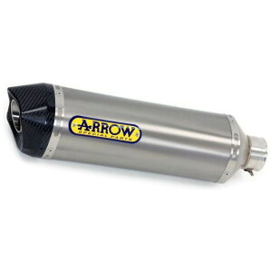 �A���[ KAWASAKI ZX-10R 16 RACE-TECH TITANIUM SILENCER WITH CARBON END CAP FOR LINK PIPES HOMOLOGATED WITHOUT DB KILLER �b 71841PK �c