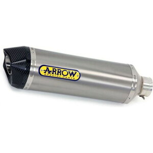 �A���[ SUZUKI V-STROM 650 17 HOMOLOGATED TITANIUM RACE-TECH SILENCER WITH CARBON END CAP FOR COLLECTORS �b 72622PK arr_72622PK