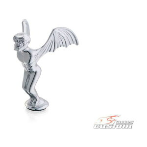 �J�X�^���A�N�Z�X Angel Of Hell Inox �b SK0002J Universal cma_SK0002J