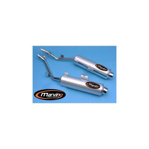 }[rO fA}t[ Amacal OslashG 100 N { A~jE - EUsF for Aprilia 650 PEGASOi92-96 650 PEGASO mvg_A-AAA-59-BC