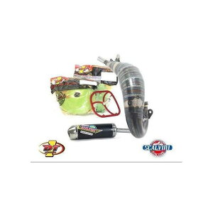 XJr[j GL][Xg { DT1 tB^[Lbg KTM 125 i05/15j b 010.014111 sca_010-014111