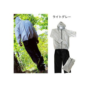 ANZXi]ԁj bNCECX[c LTCY LO[ 43302