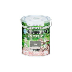 JynsI LVfR[ GNXS Vo[OC 0.7L E00047670260000