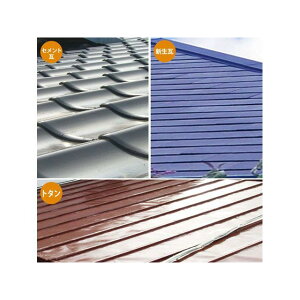 JynsI VRՔMp J[{O[ 7K E00377655643070