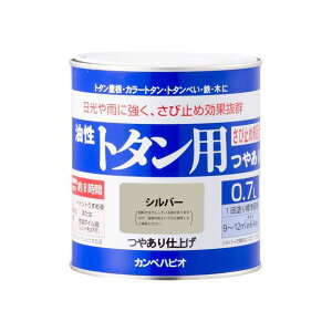 �J���y�n�s�I �����g�^���p �V���o�[ 0.7L �E00147645251007