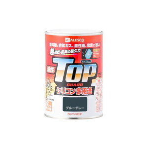 JynsI gbvK[h u[O[ 0.4L E00017640371004