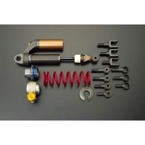 Ahoe[WV[ ADVANTAGE SHOWA RS[TXyVioCjVAWX^[j CB1100 621-H002-RS