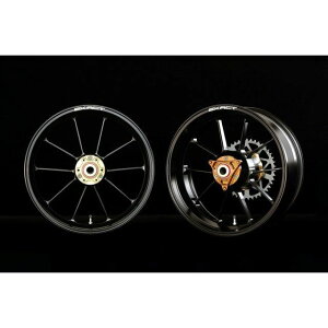 Ahoe[W ADVANTAGE EXACT RACING 10 tb}OlVE[zC[iubNF300/450-17j NSR250 5410R-H031-SB