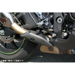 SPEEDRA }t[Jo[ hCJ[{ ZX-10R dl D艐 CKA0901TM