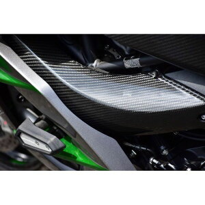 SPEEDRA GA_NgJo[ hCJ[{ NINJA H2SX/SE dl D艐 CKA1408TG