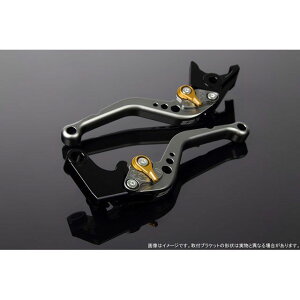 SPEEDRA AWXgo[ X^_[hV[gio[{̃J[F}bg`^j ADV150 AWX^[J[ }bgS[h LVCM078TM-GD