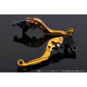 SPEEDRA AWXgo[ |io[{̃J[FS[hj ADV150 AWX^[J[ ubN GNXeVJ[ S[h LVGG078GD-BKGD