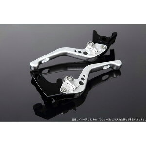 SPEEDRA アジャストレバー 3Dショート(レバー本体カラー:マットシルバー) XMAX アジャスターカラー マットシルバー LVFM081SR-SR