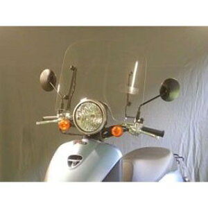 y[J[zh EChV[h gDfC PGM-FI WS79