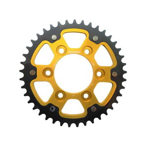 X[p[XvbNX AXvPbg STEALTHiXeXj 1489-41TiS[hj RST-1489F41-GLD