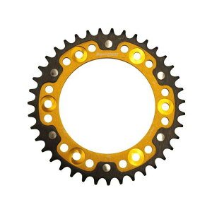 X[p[XvbNX AXvPbg STEALTHiXeXj 301-39TiS[hj RST-301F39-GLD