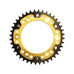 X[p[XvbNX AXvPbg STEALTHiXeXj 301-40TiS[hj RST-301F40-GLD