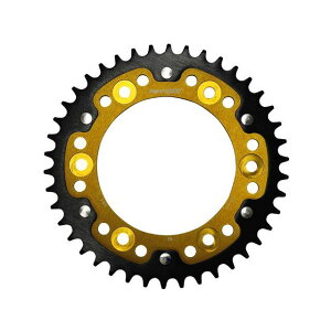 X[p[XvbNX AXvPbg STEALTHiXeXj 301-42TiS[hj RST-301F42-GLD