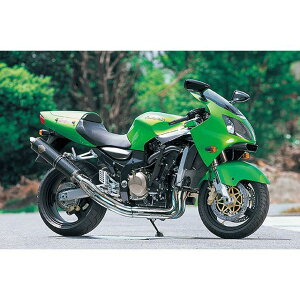 A[YMA Co tGL][Xg VOiJ[{j ZX-12R WK04-11CF