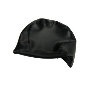 Ao {V[gJo[/PS250 ̂݁i^fV[gpjyziցj PS250 ̂ HCH5620-C10B36