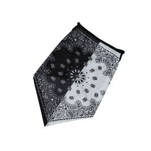 CY Bandana EarsLoops TBE1074 PAISELY1 TBE1074