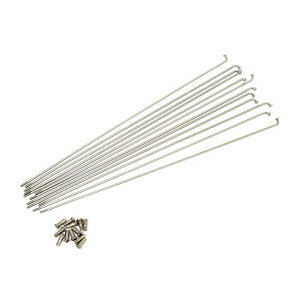 GRKi]ԁj 12×273 12XeXX|[Ni12{j^Jjbvt 12273-STN