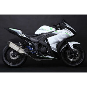 gbNX^[ {F؃XbvI}t[ IKAZUCHI XeXJ[{ YZF-R25 JSS-203A-L4SC