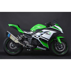 gbNX^[ {F؃XbvI}t[ IKAZUCHI ăXeX Ninja250/Z250 JSS-015D-L4YS