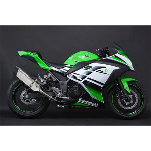 gbNX^[ {F؃XbvI}t[ IKAZUCHI XeXJ[{ Ninja250 Z250 JSS-015D-L4SC