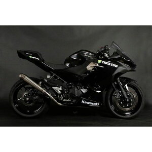 gbNX^[ [VOtGL][Xg _ O Ninja250/400 RFS-015E-03RL