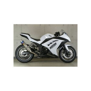 gbNX^[ [VOXbvI}t[ ă`^ Ninja250/Ninja300 RSS-015D-0YTESC