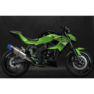 gbNX^[ [VOXbvI}t[IKAZUCHI Z250SL RSS-028-L4YT