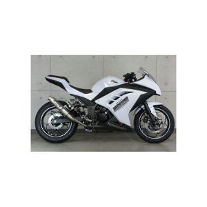 gbNX^[ [VOXbvI}t[ XeX J[Gh Ninja250/Ninja300 RSS-015D-SSEC