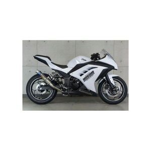 gbNX^[ [VOXbvI}t[ ă`^ J[Gh Ninja250/Ninja300 RSS-015D-SYTEC